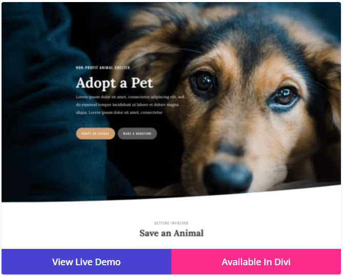 Divi – Animal Shelter Pet Shop WordPress Theme