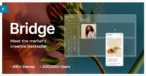 Bridge WordPress Theme for Artist