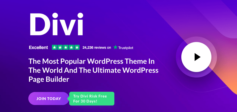 Divi WordPress Theme for Artist