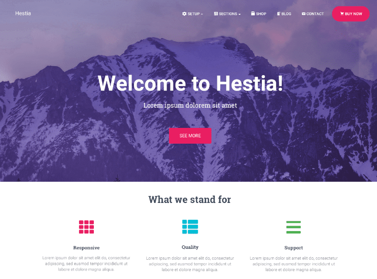 Hestia WordPress Theme for Artist