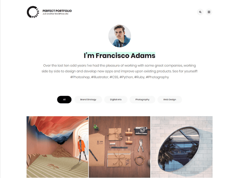Perfect Portfolio WordPress Theme for Artist