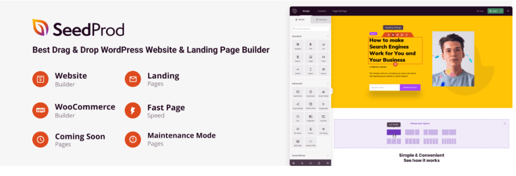 SeedProd WordPress Theme for Artists