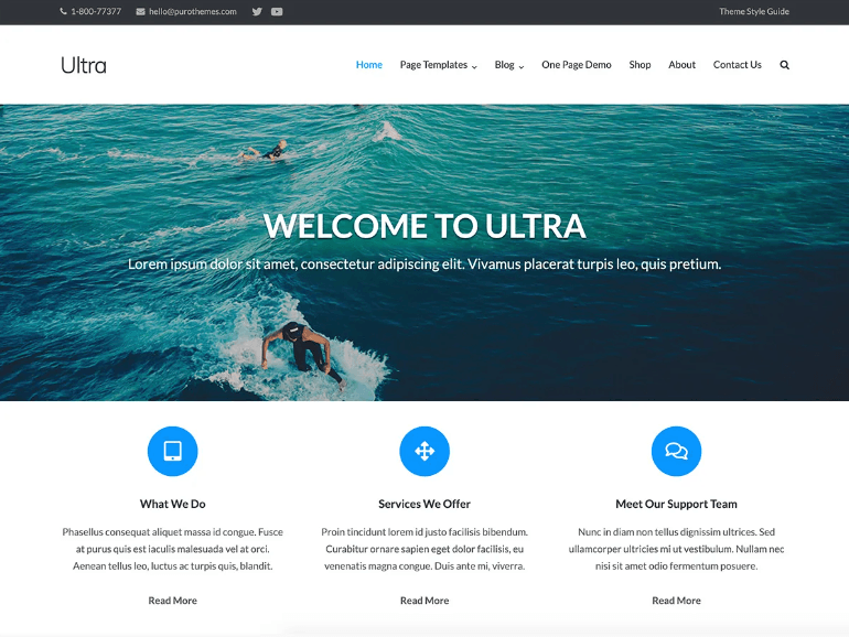 Ultra WordPress Theme for Artist